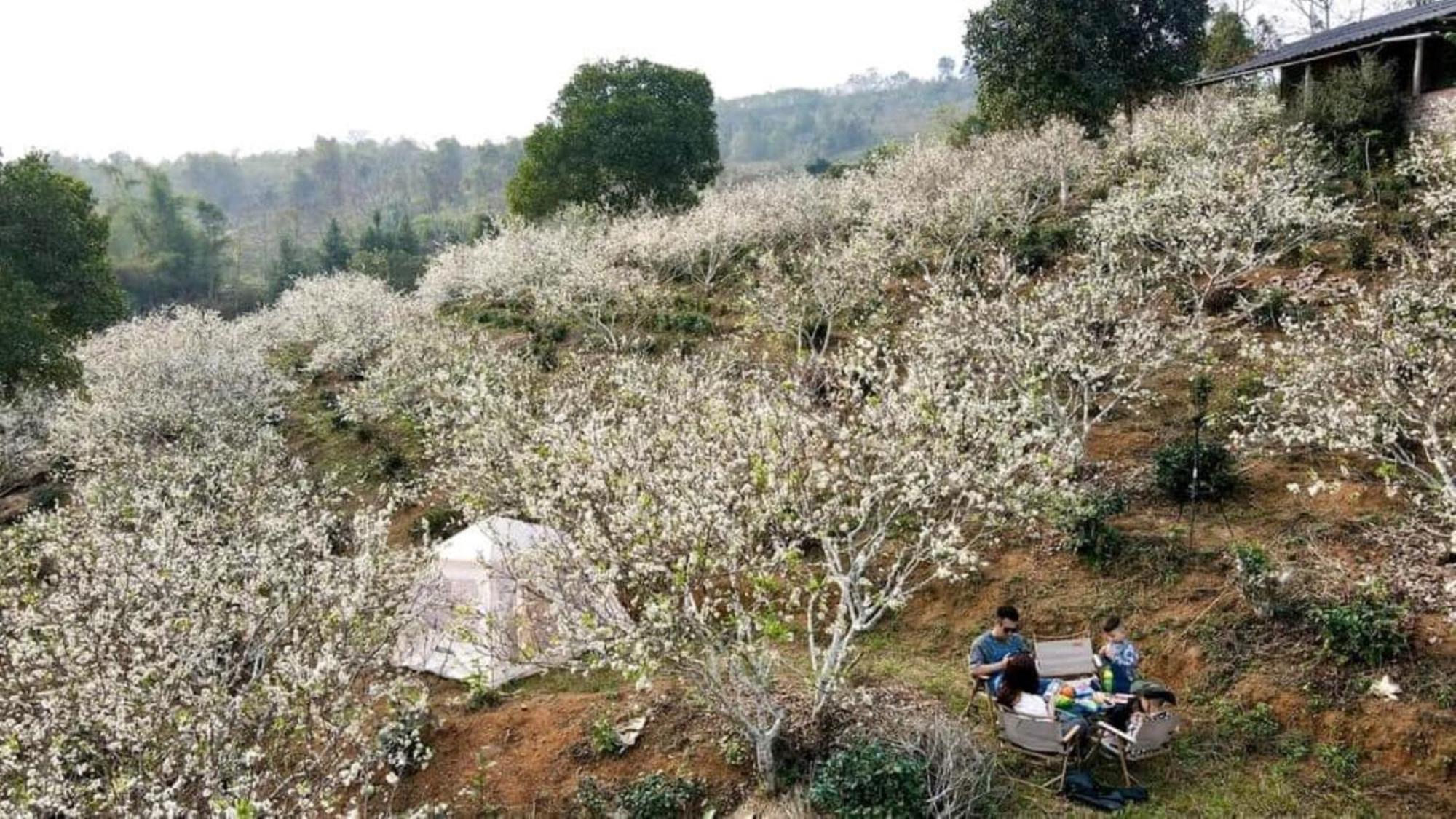 Nam Thia Homestay 옌바이 외부 사진